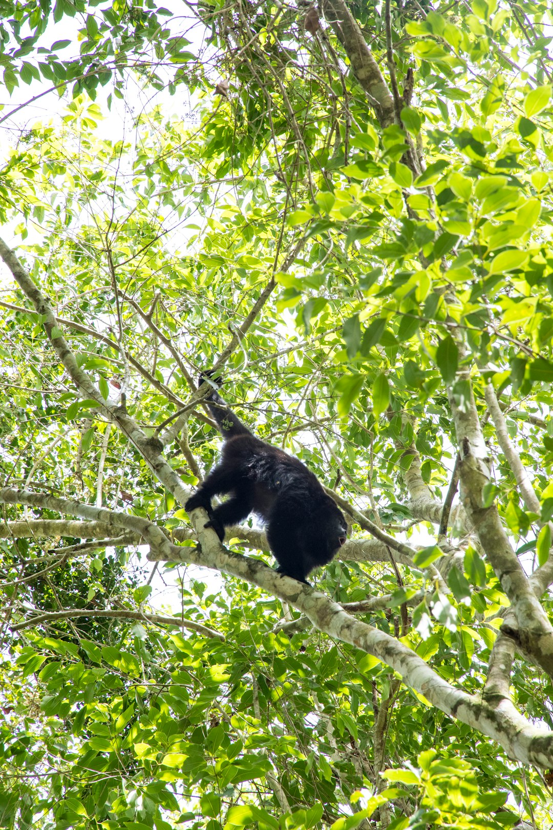 belize