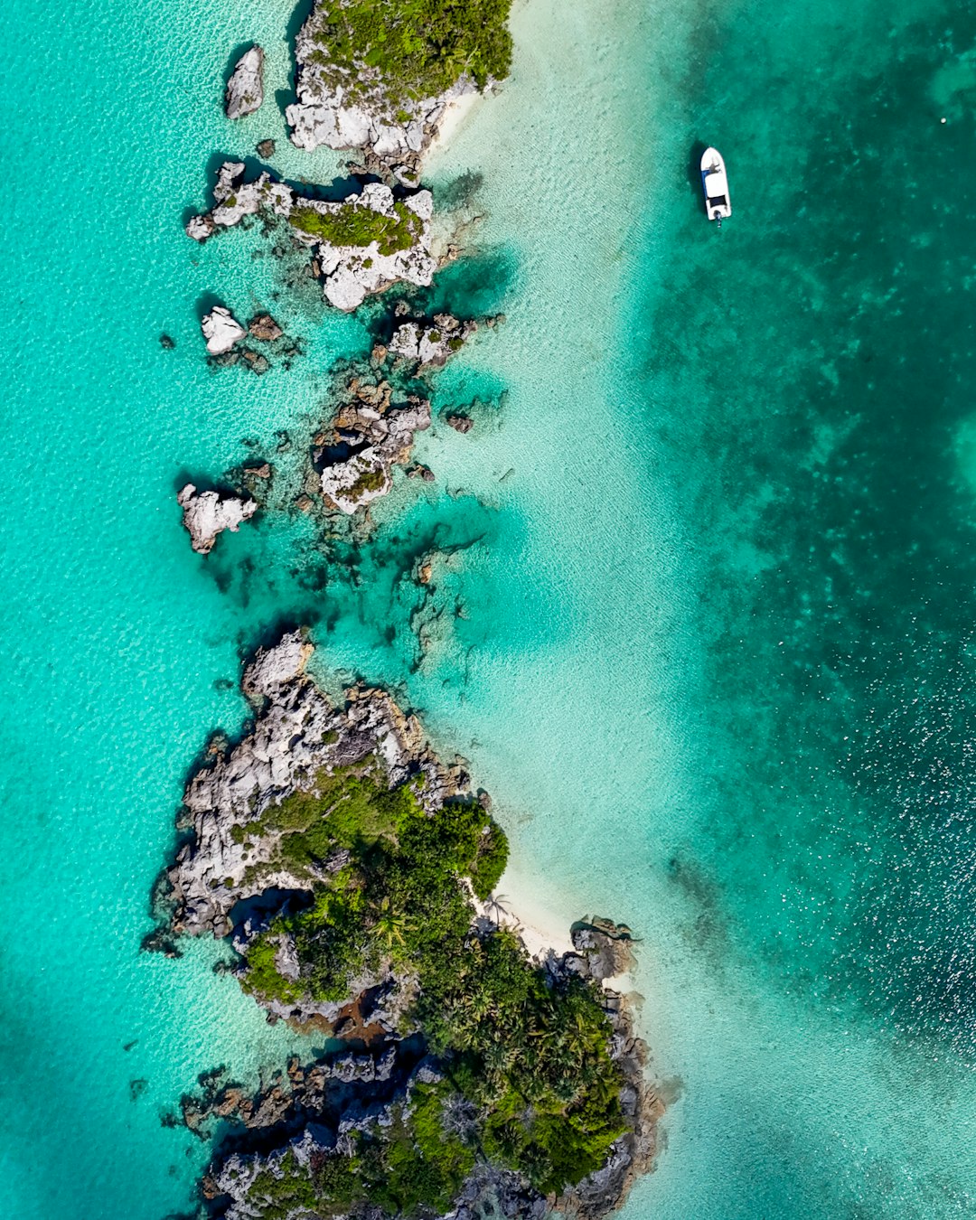 bermuda