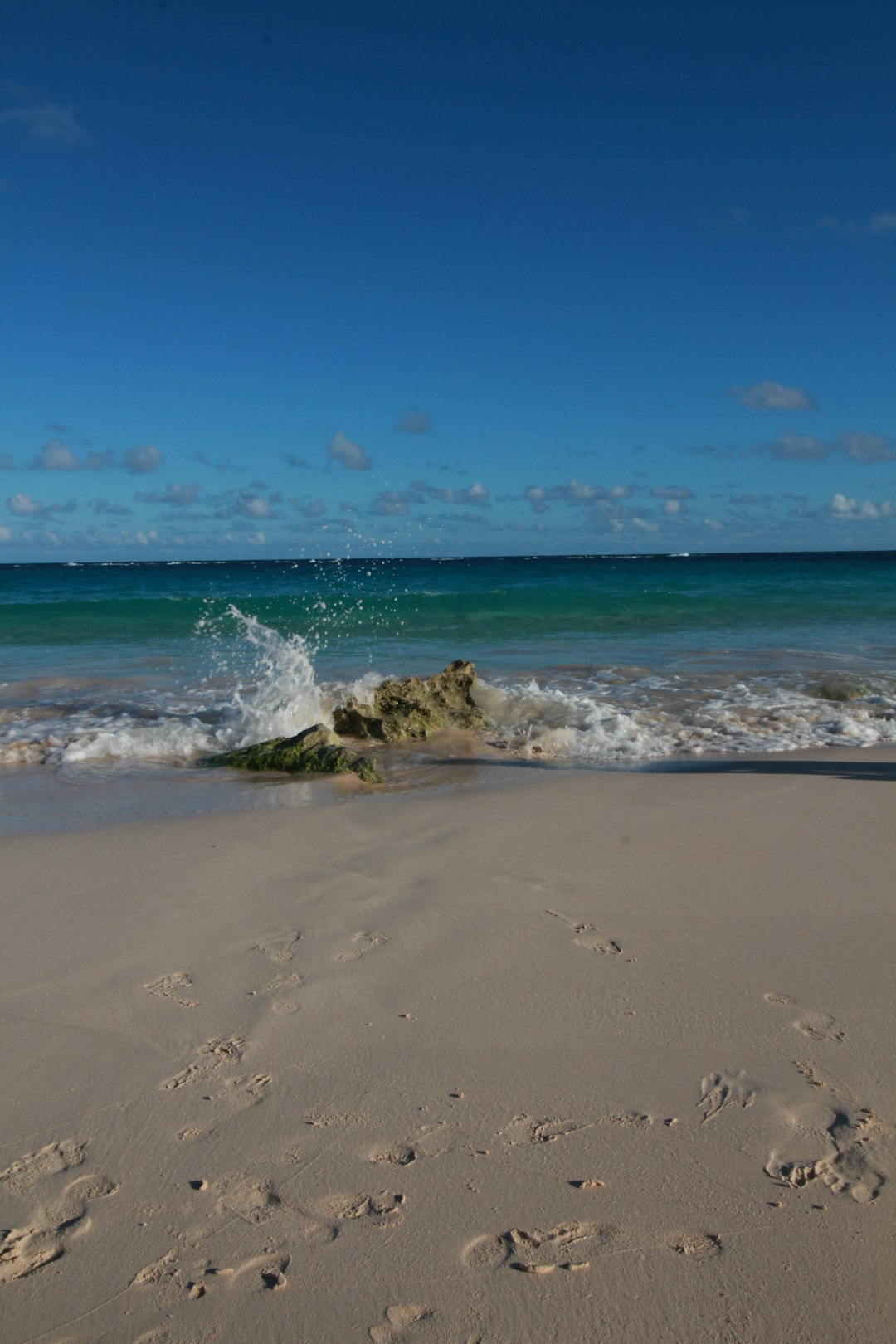 bermuda