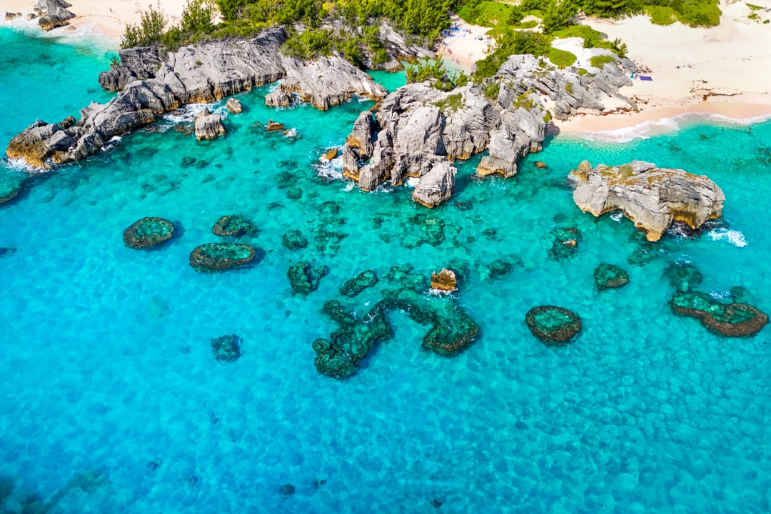 bermuda