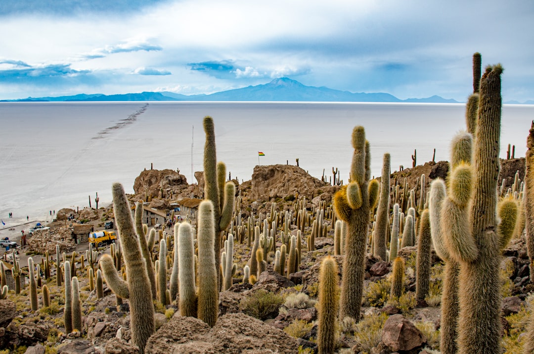 bolivia