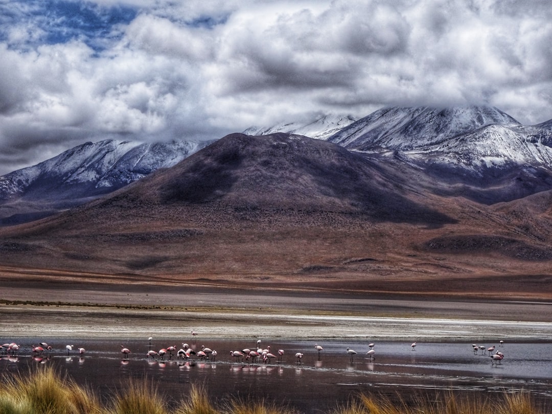 bolivia