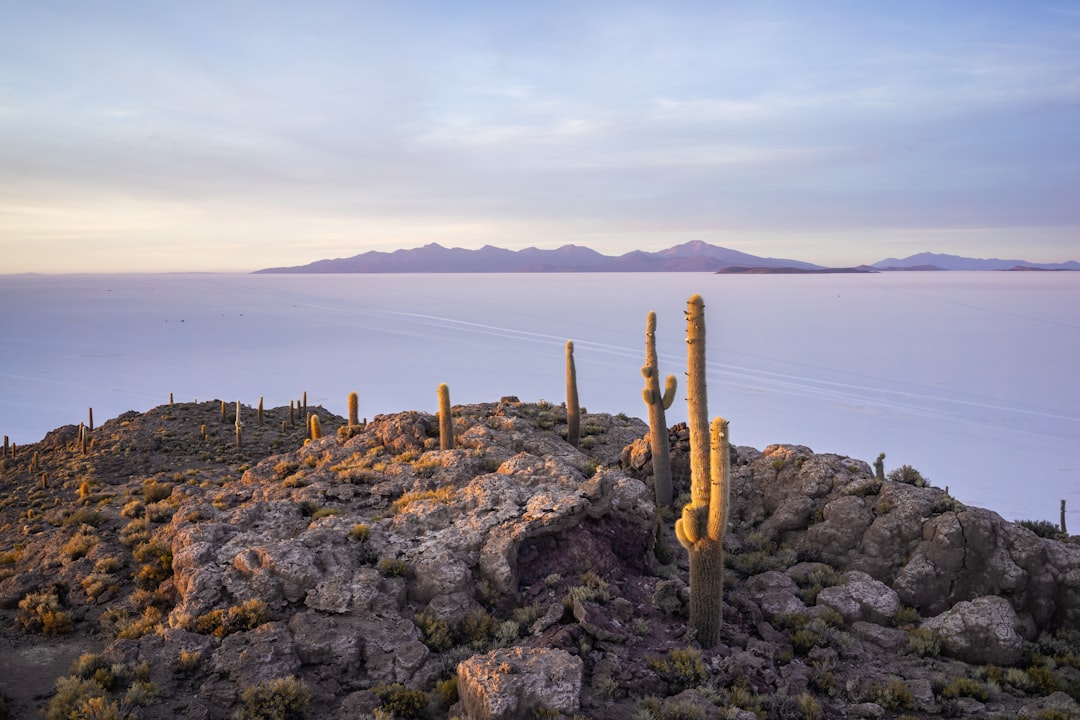 bolivia