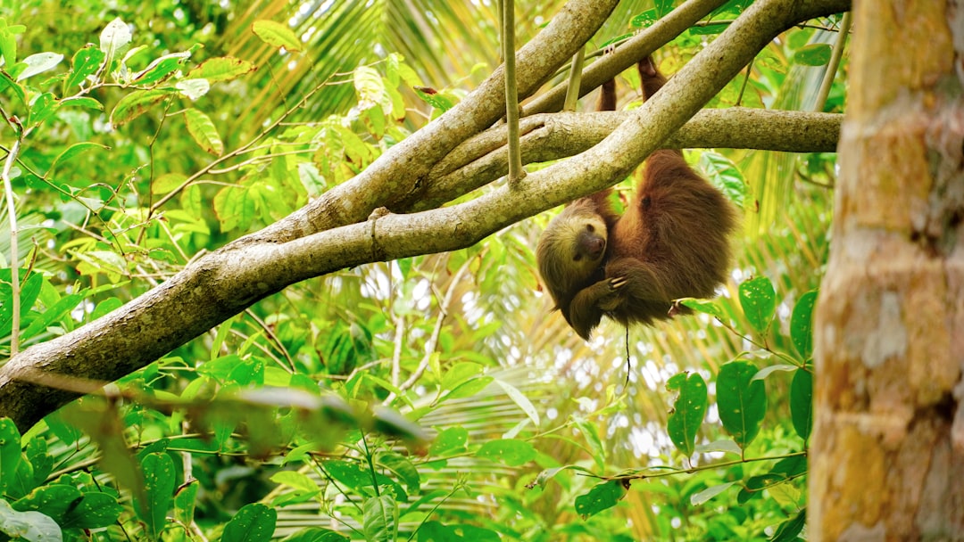costa_rica