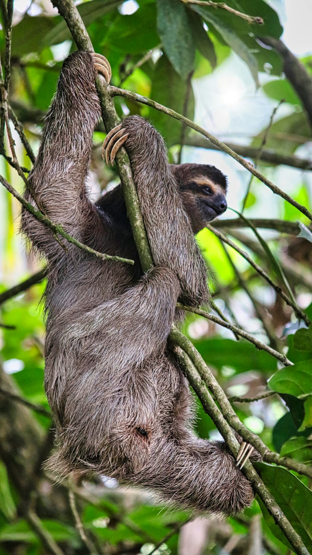 costa_rica