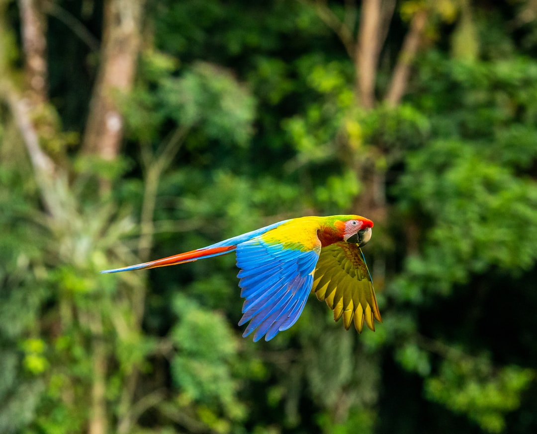 costa_rica