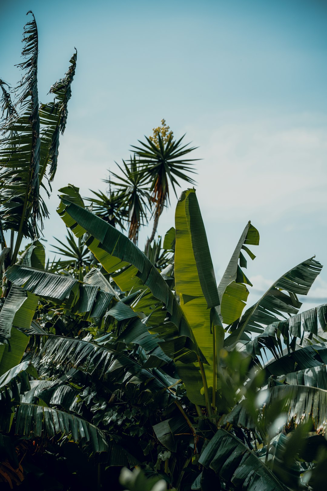 costa_rica