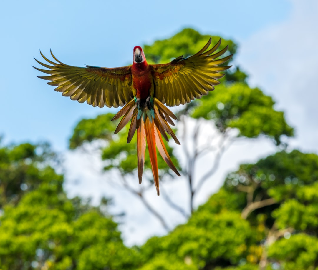 costa_rica