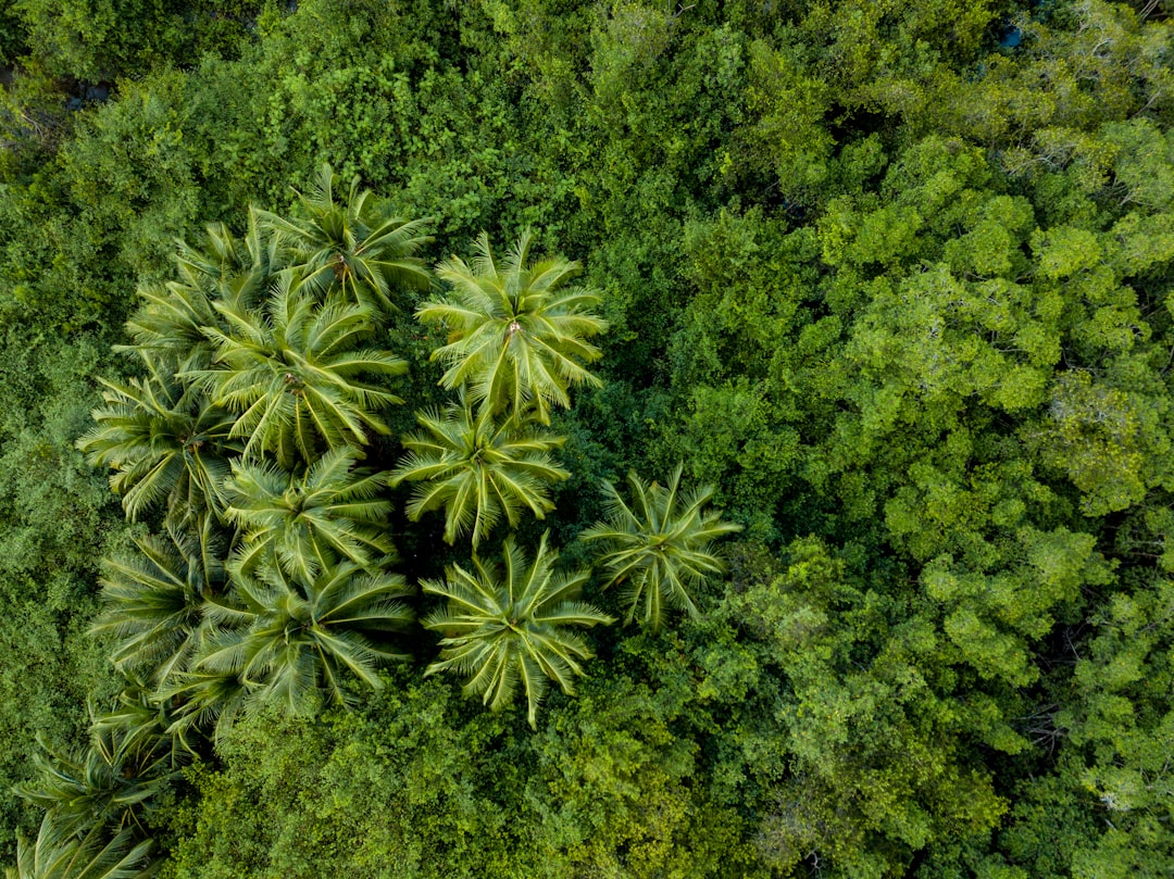costa_rica
