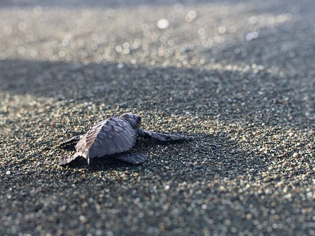 costa_rica
