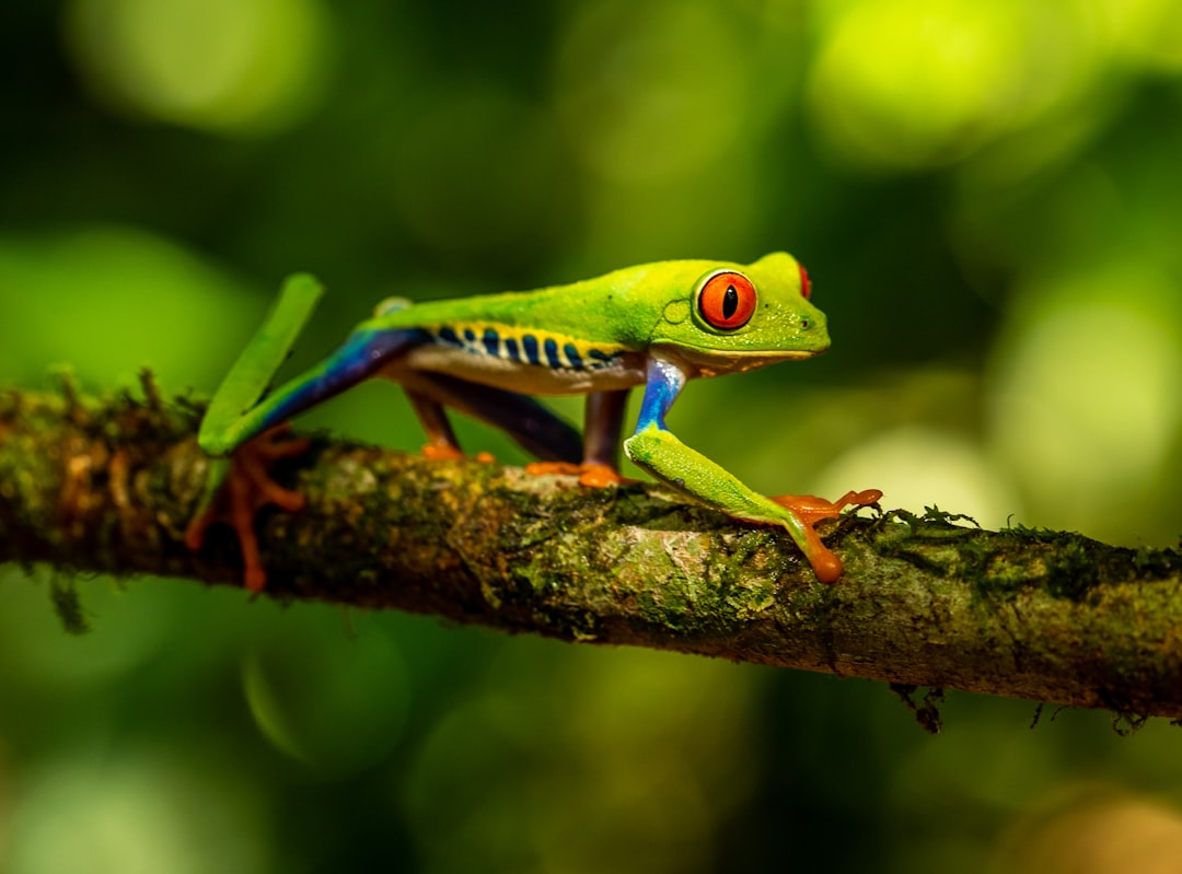 costa_rica