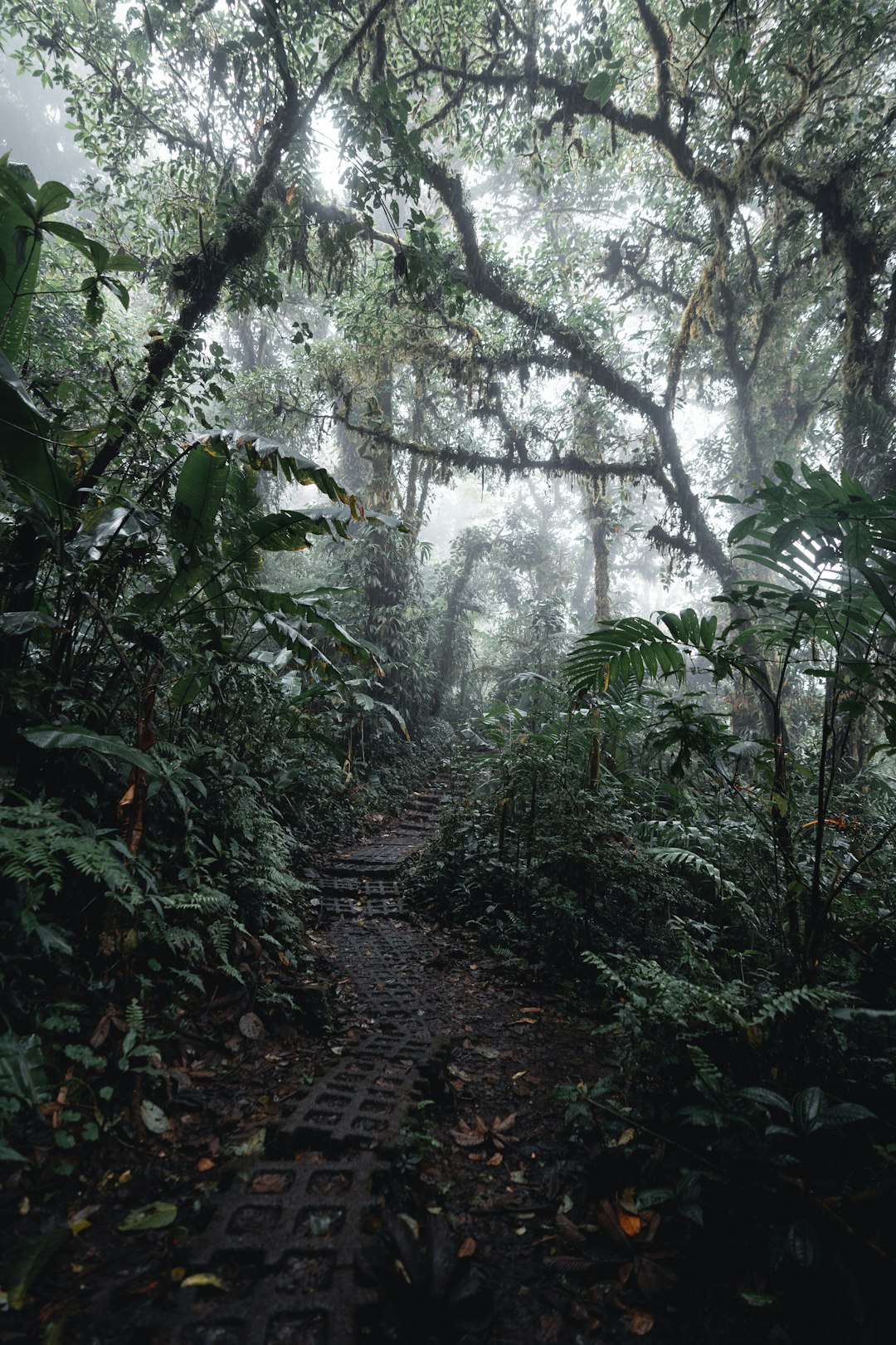 costa_rica