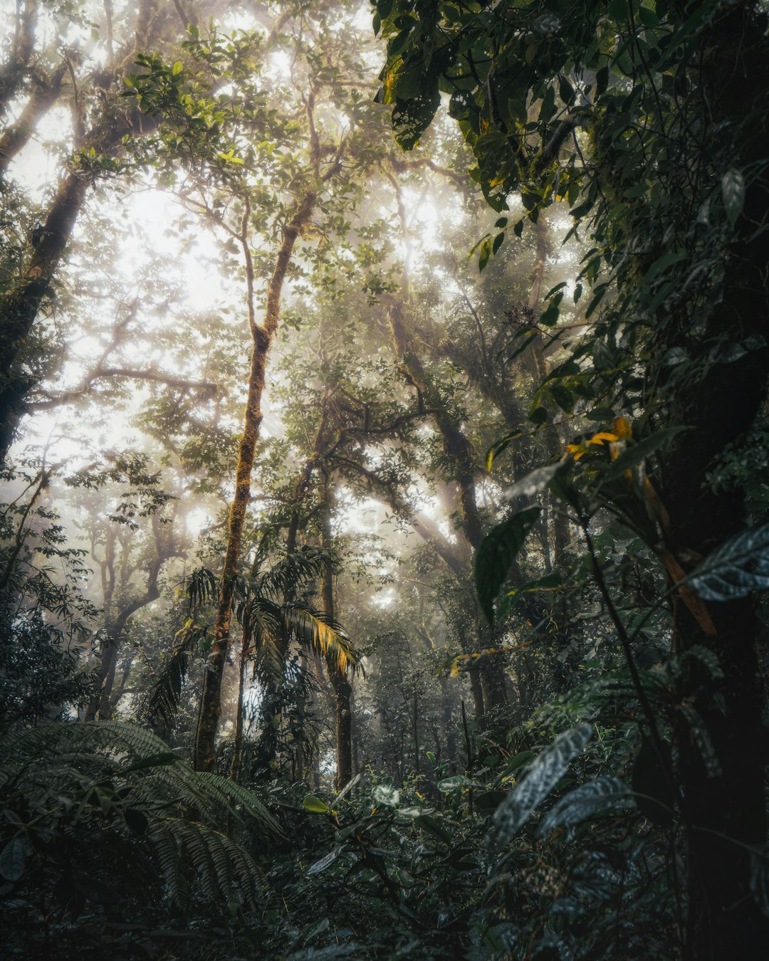 costa_rica