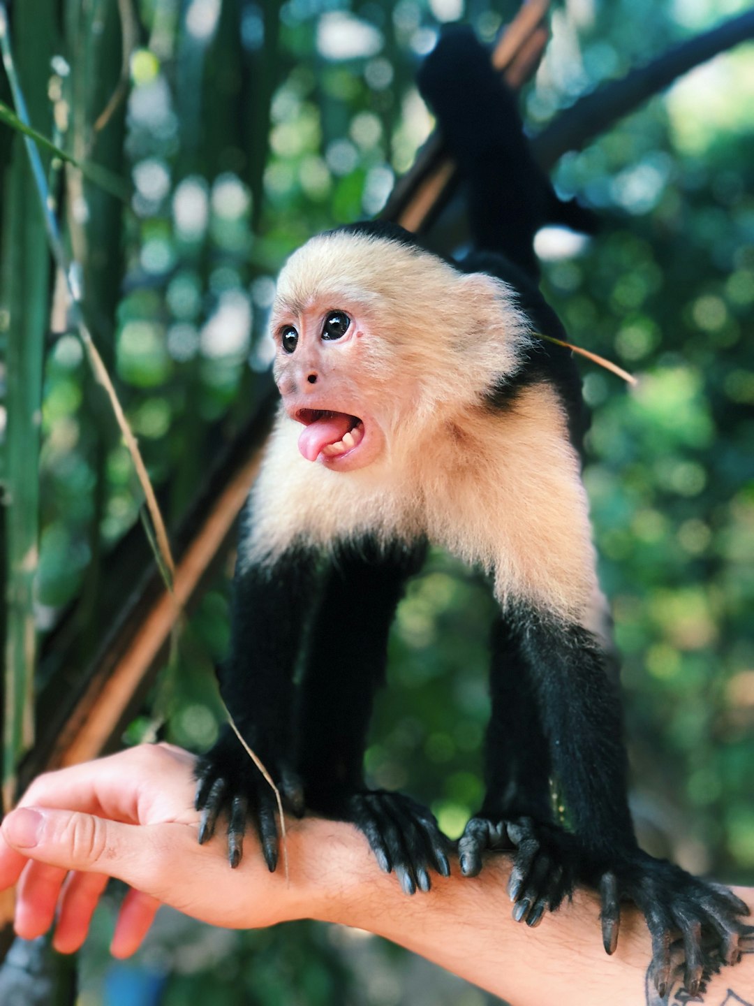 costa_rica