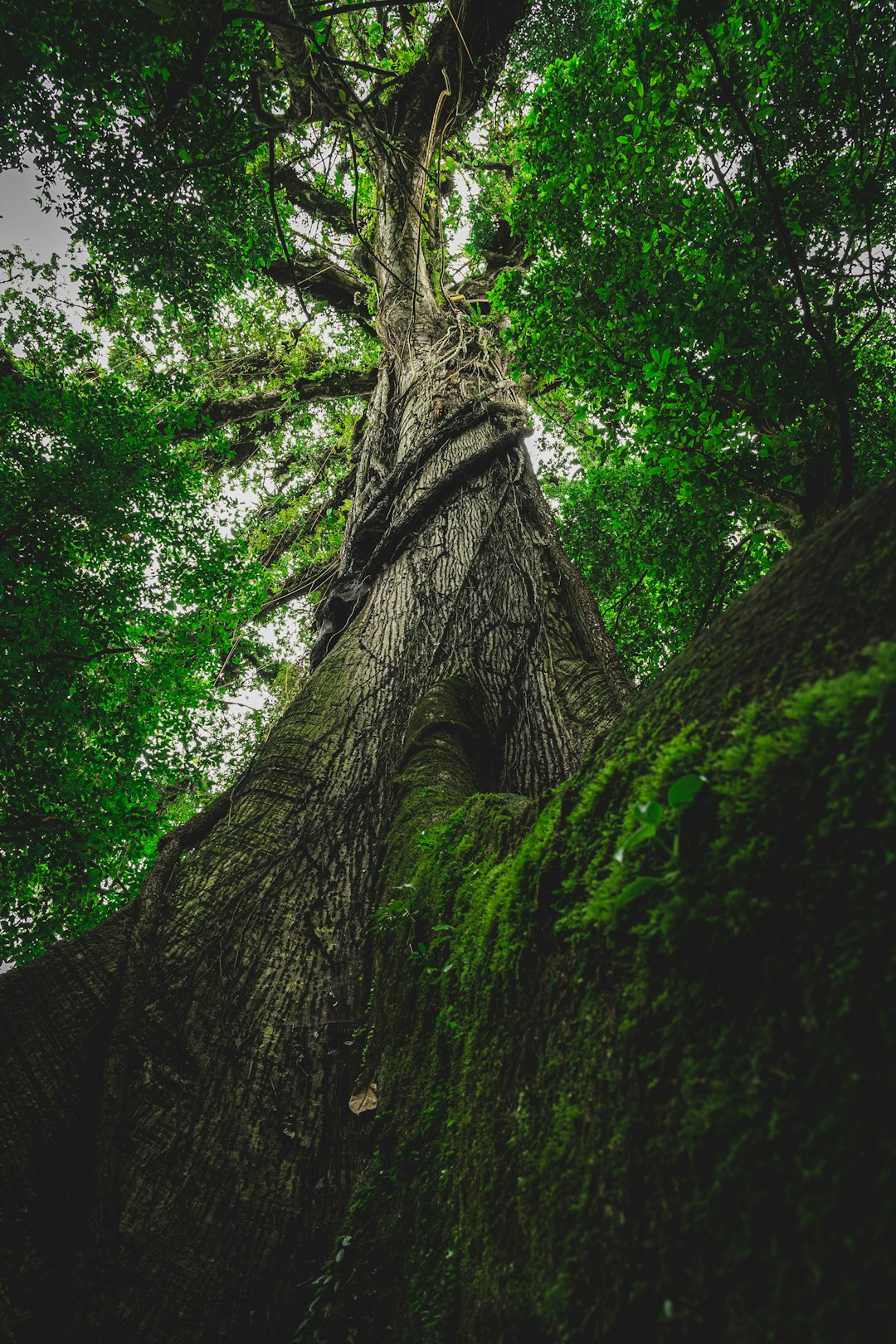 costa_rica