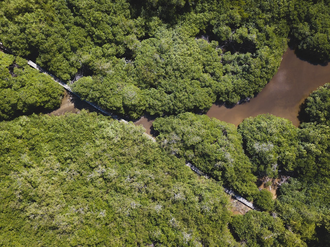 costa_rica