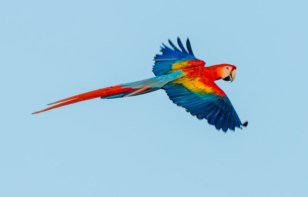 costa_rica