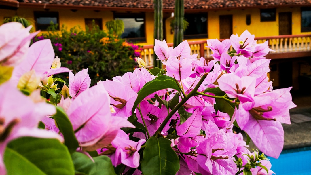 costa_rica