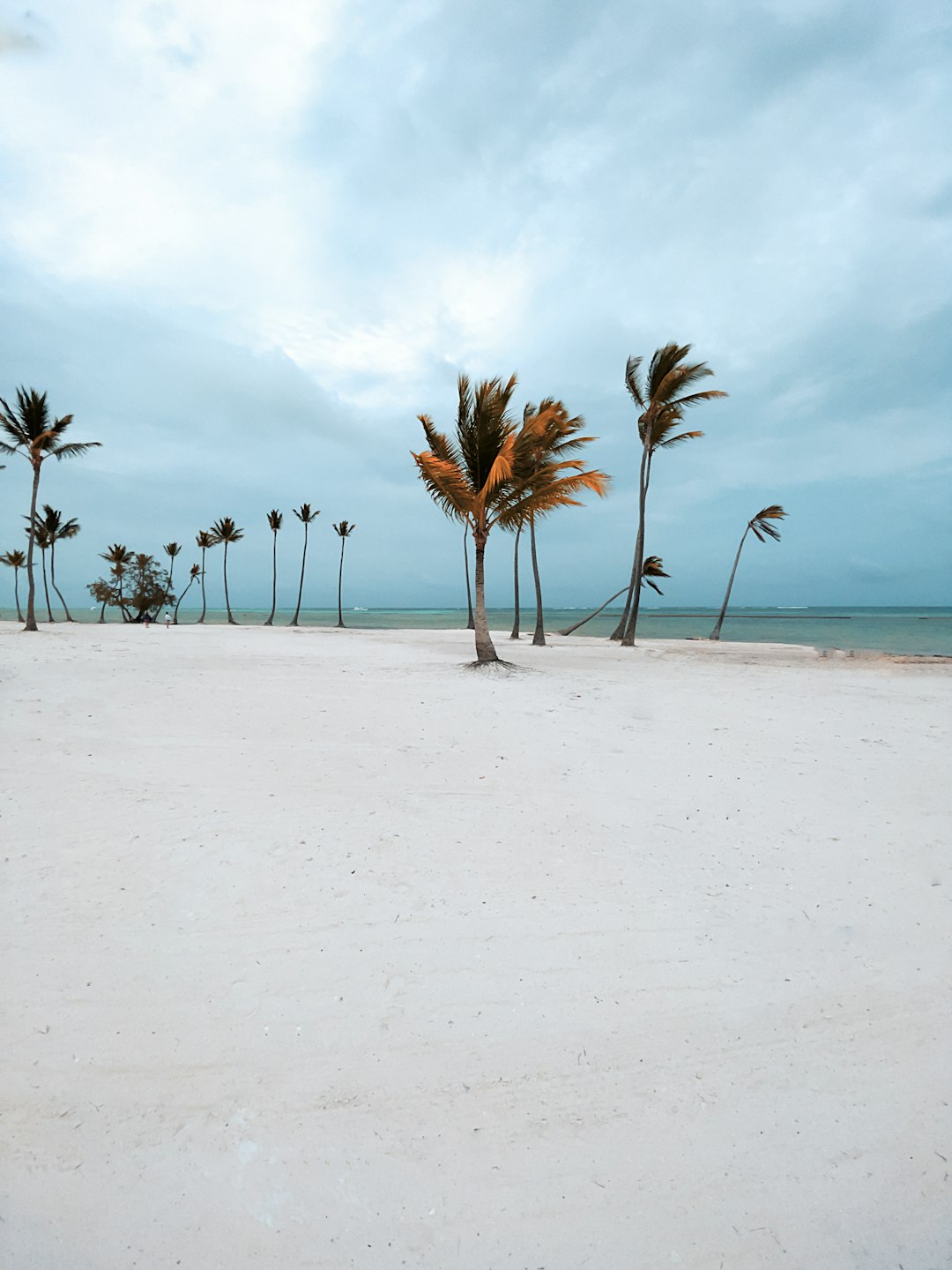dominican_republic