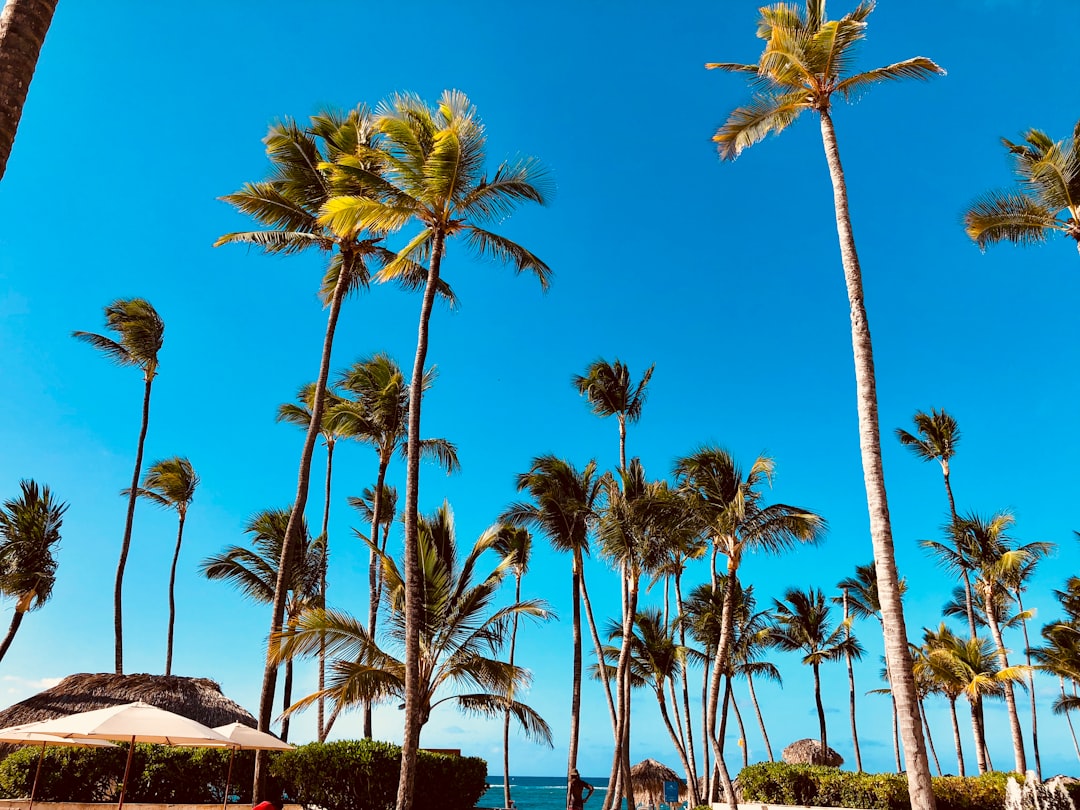 dominican_republic