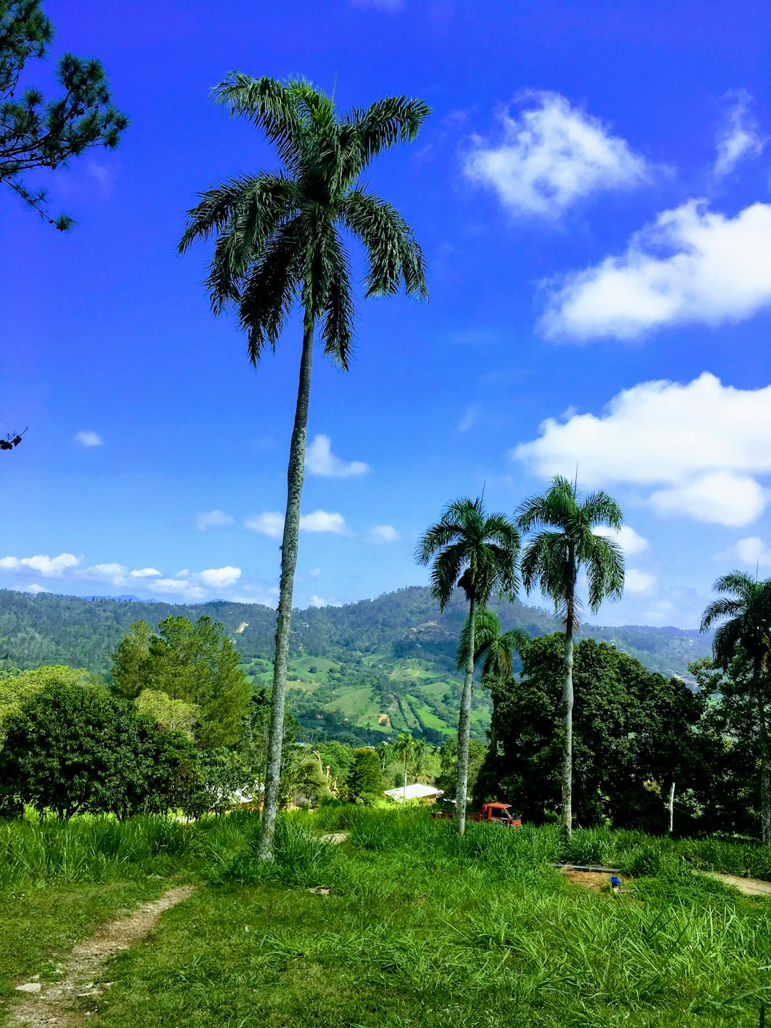 dominican_republic