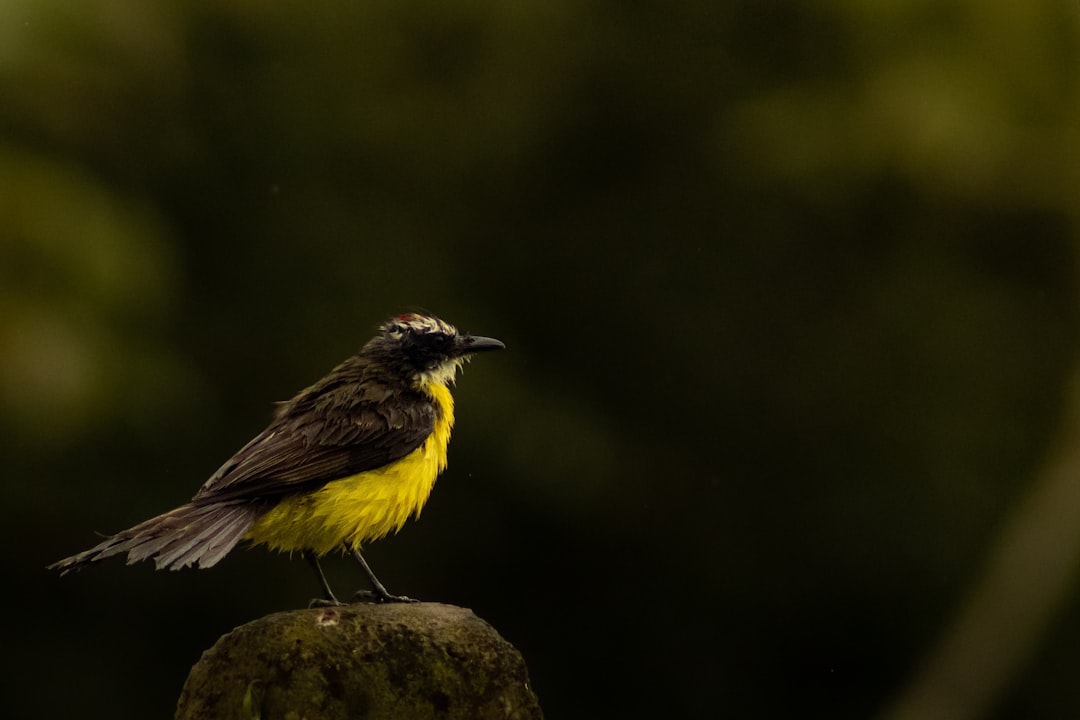 ecuador
