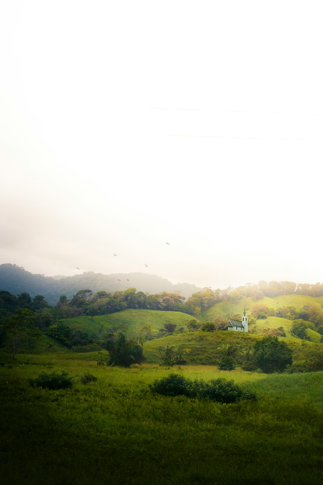panama