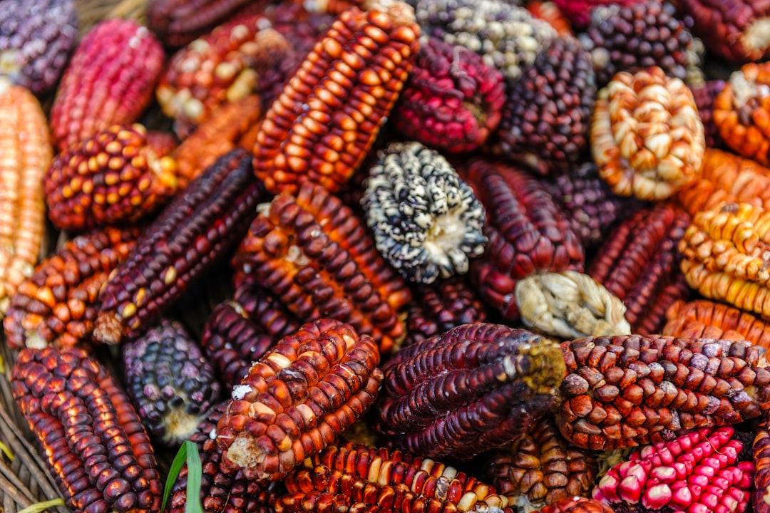 peru